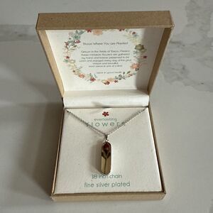 Seed & Sage Dried Flower Rose Necklace Fine Silver Plated NEW